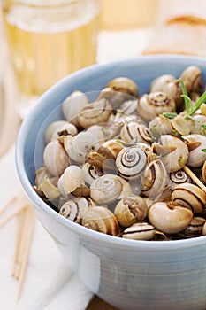 Snails in blue bowl