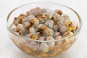 Snails in blue bowl