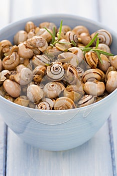 Snails in blue bowl