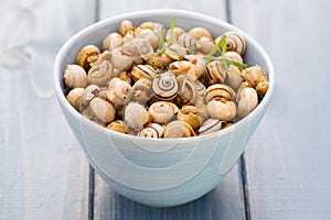 Snails in blue bowl