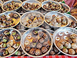 Snails in Burgundy style. This traditional French dish is soaked in a sauce made from butter,