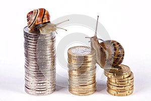 The snails climb the pile of money.