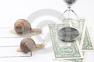 The snails compete first to reach the finish line with money. metaphor for business. time for success. persistence and speed of de