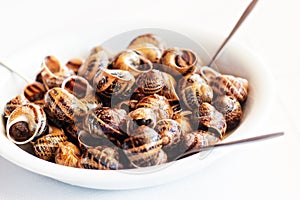 Snails cooked in white wine, traditional Cretan recipe