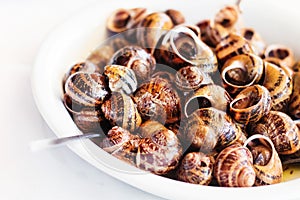 Snails cooked in white wine, traditional Cretan recipe photo