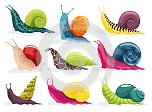 Snails crawling set. Collection snailfish colour shell. Colourful mollusk characters isolated in cartoon style
