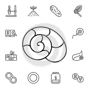 Snails flat vector icon in biology pack