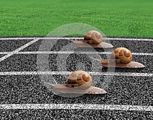 Snails race on sports track photo