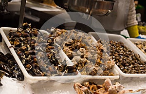 Snails and shell seafood on ice at la Boqueria market in Barcelona