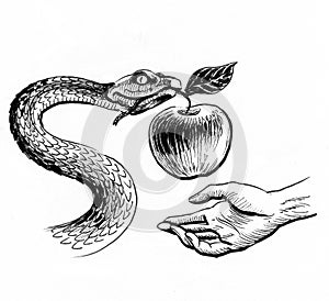 Snake, apple and hand