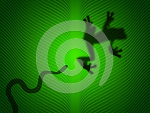 Snake attack a tree frog