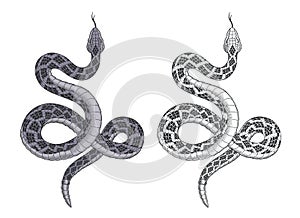 Snake attacks. Rattlesnake tattoo isolated on white vector illustration.