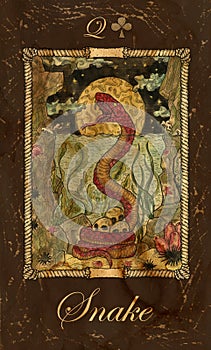 Snake. Card of Old Marine Lenormand Oracle deck.