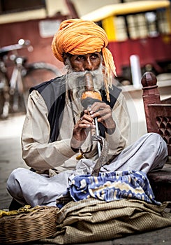 Snake charmer photo