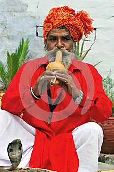 Snake charmer photo