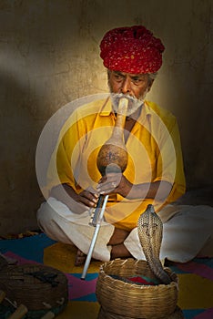 Snake Charmer, India People, Travel