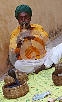 Snake charmer. India. Rajasthan. photo