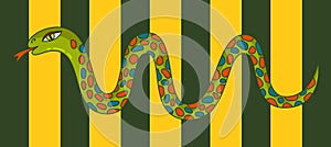 Snake colorful vector illustration
