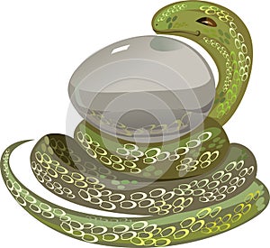 Snake with egg