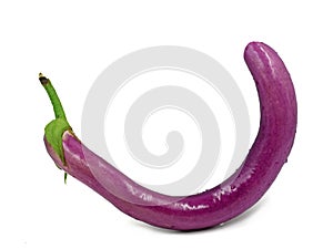 Snake Eggplant, Solanum melongena `Long Purple`, isolated on white background