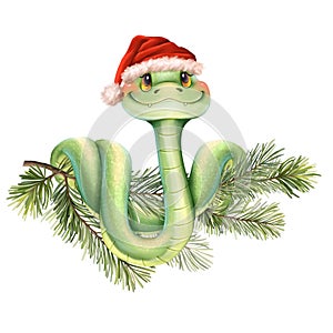 Snake on fir branch. Cute illustration of green snake in Santa hat, isolated on white background.