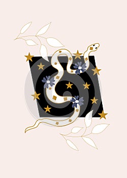 Snake and flower illustration