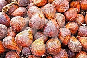 Snake Fruit on market in Java