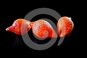 Snake fruit, snake skin fruits