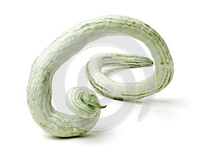 Snake gourd