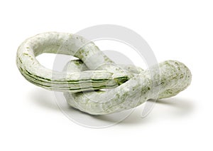 Snake gourd
