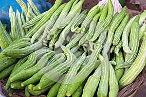 Snake Gourd stock on shop