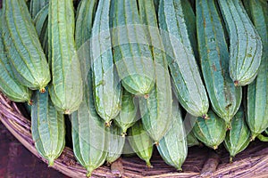 Snake Gourd stock on shop