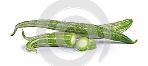 Snake gourd on white background