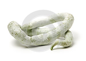 Snake gourd