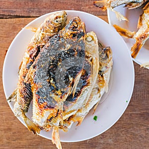 Snake head Grilled fish with Salts  and Thai carp fish grill is thai traditional Foods