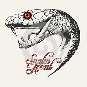 Snake Head Illustration