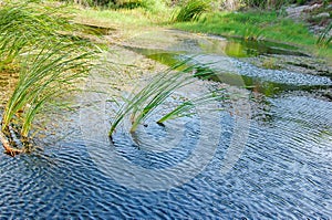 Snake Hill Park, Ratchaburi.