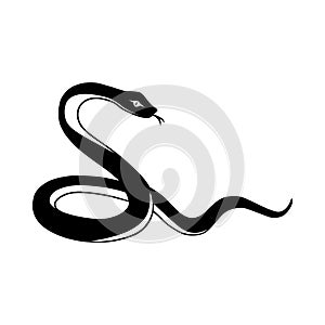 The snake icon. A black silhouette of a snake with its tongue sticking out. A viper in a beautiful pose.