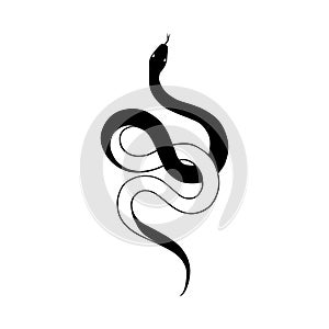 The snake icon. A black silhouette of a snake with its tongue sticking out. A viper in a beautiful pose.