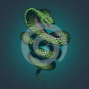 Serpente illustrazioni 