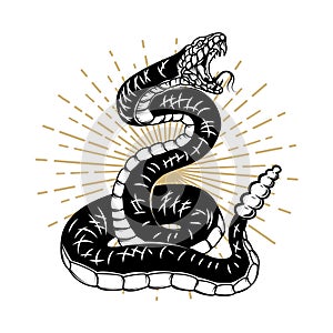 Snake illustration isolated on white background. Design element for poster, banner, t shirt.