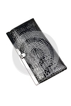 Snake leather ladies clutch-er