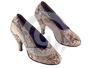 Snake leather shoes