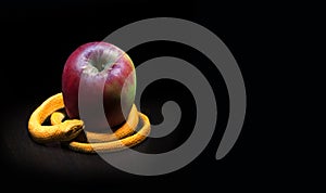 The snake lies near the apple