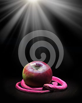 The snake lies near the apple