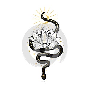 Snake with lotus. Vector hand drawn illustration on white background