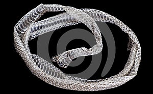 Snake moult closeup