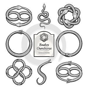 Snake and Ouroboros Illustrations