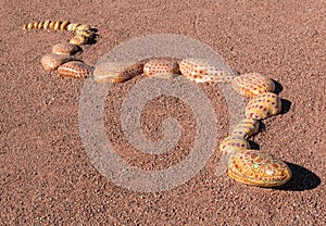 Snake of painted rocks, yard art