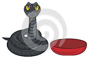 Snake and plate